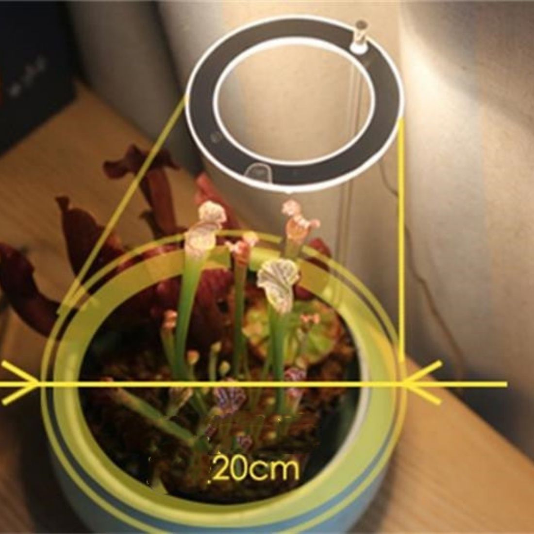 Indoor Plant Growth Light – Last Day Discount