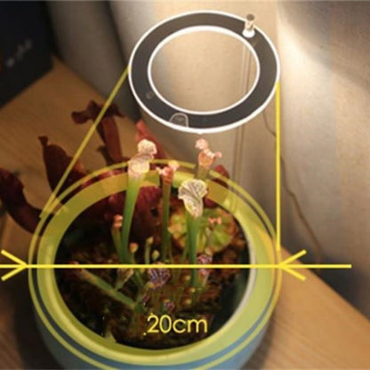 Indoor Plant Growth Light – Last Day Discount