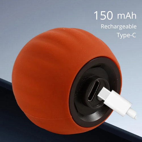 Interactive Rolling Ball for Clever Fun with Your Furry Friends