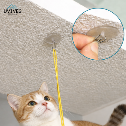Buy One Get One Free | Ignite Your Cat's Energy and End Boredom Now