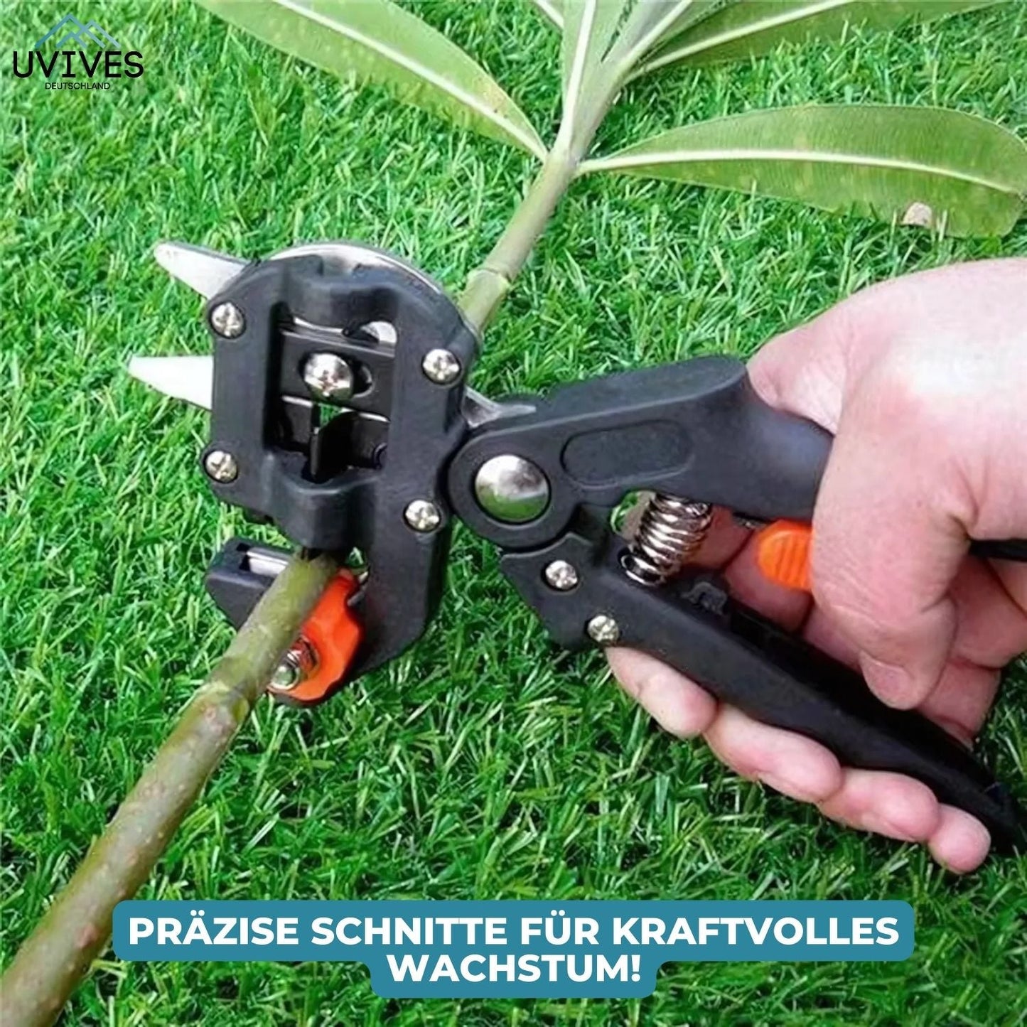 2-in-1 Professional Grafting and Pruning Shears