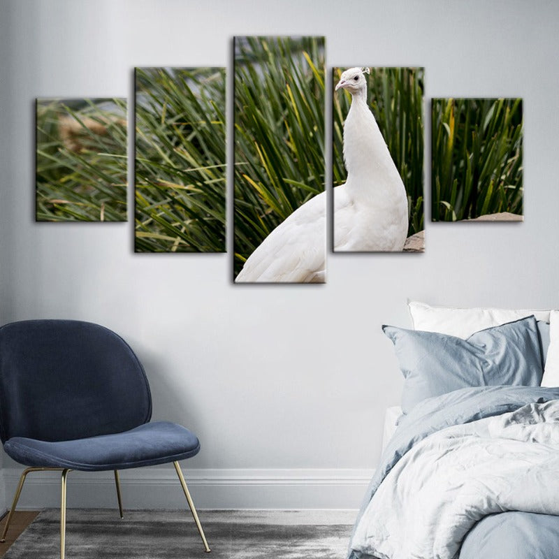 Serene White Peacock 5-Piece Canvas Art Set