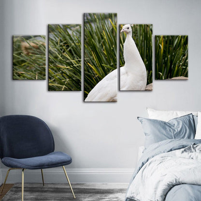 Serene White Peacock 5-Piece Canvas Art Set