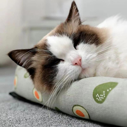 Breathable Summer Pet Bed for Ultimate Comfort