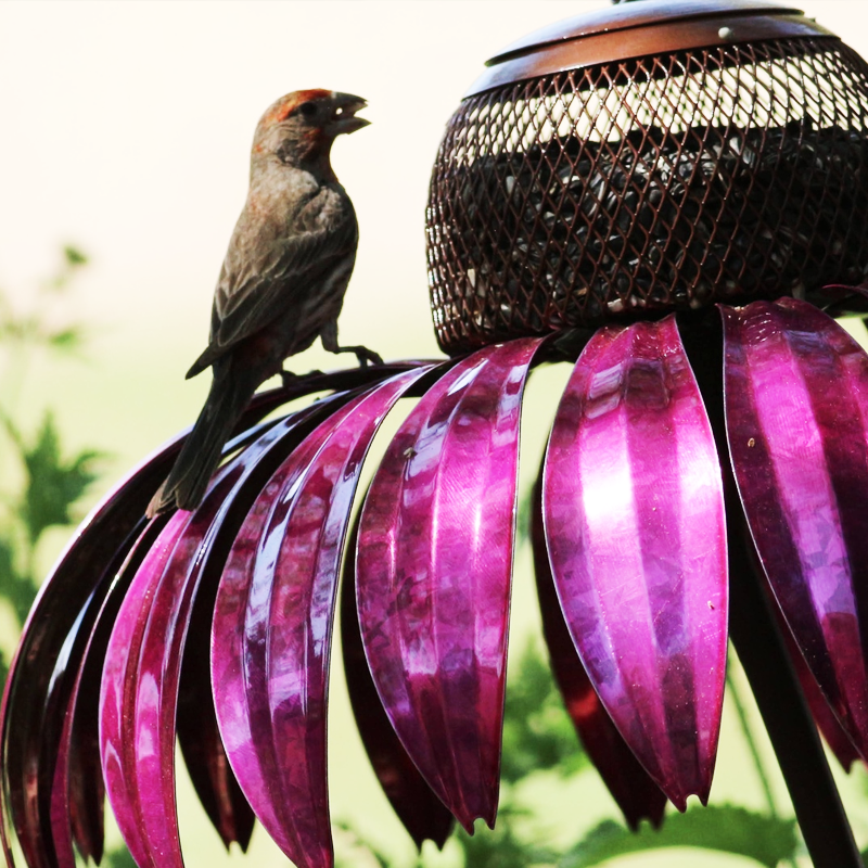 Feeding Station for Birds with Chic Design
