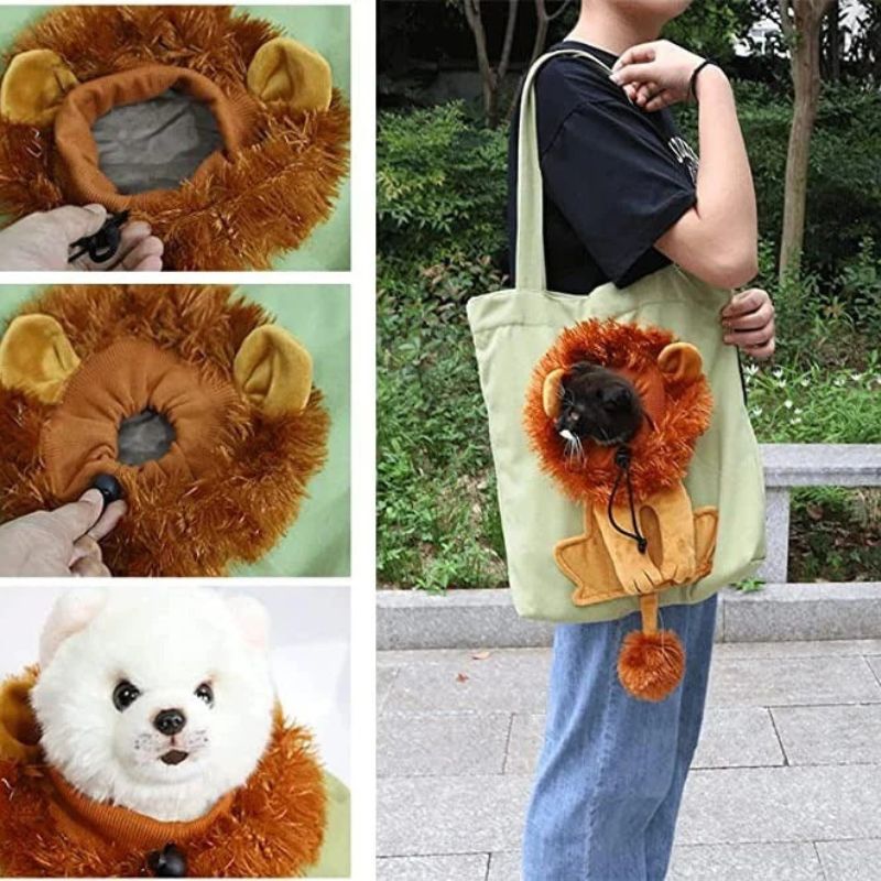 Safe and Comfortable Pet Transport Solution for Stress-Free Travel