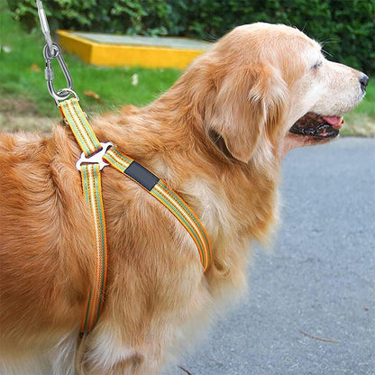 Heavy-Duty Outdoor Dog Leash for Safe Adventures