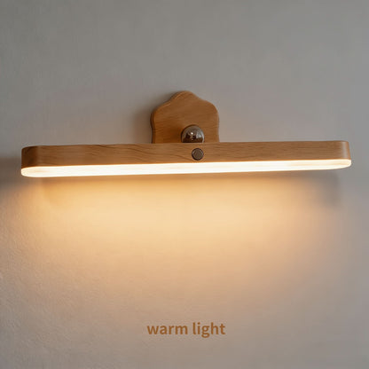 Adjustable LED Wall Light with Rotating Head