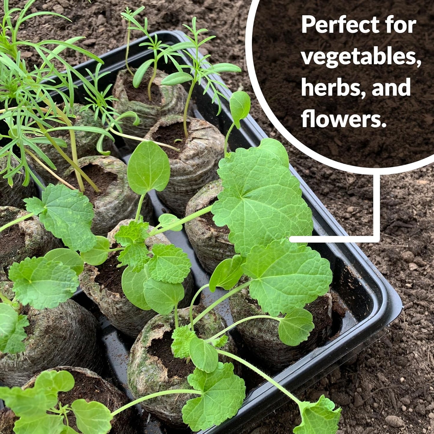 Quick and Strong Sprouting with Ideal Moisture Control