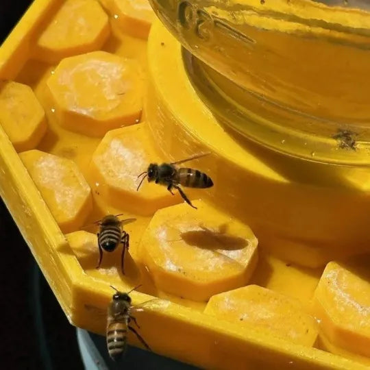 Pollinator Oasis: Safe Drinking Station for Bees | Weatherproof & Eco-Friendly