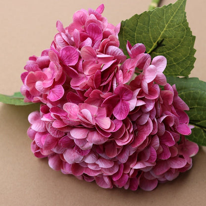 Forever Lively Flowers Without Maintenance - Hydrangea Decoration