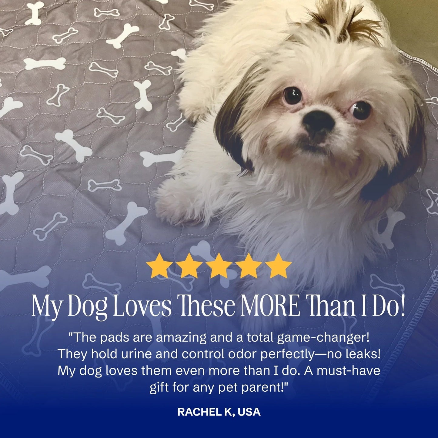 Leakproof Pet Pads to Keep Your Floors Spotless