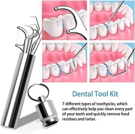 Stainless Steel Toothpick Set of 7 Pieces