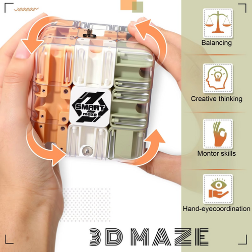 Unlock Your Mind with the MazeMaster 3D Puzzle