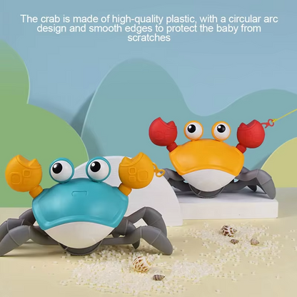 Half Price Offer | CrawlerBuddy™