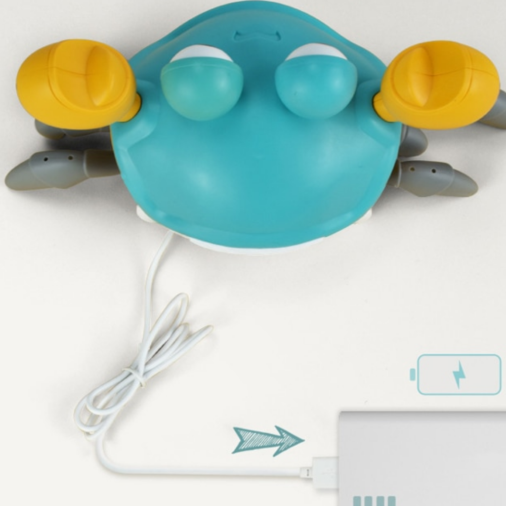 Half Price Offer | CrawlerBuddy™
