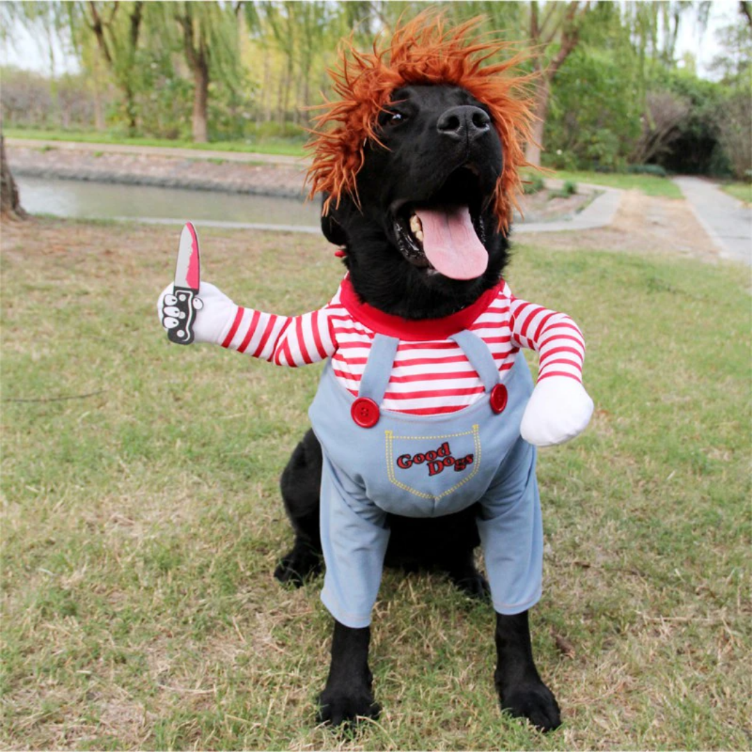 Frightening Fido Costume: Spookify Your Pup This Halloween!