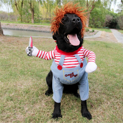 Frightening Fido Costume: Spookify Your Pup This Halloween!