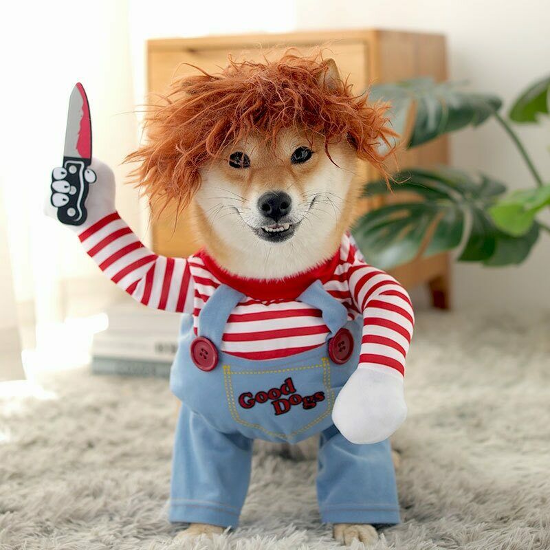 Frightening Fido Costume: Spookify Your Pup This Halloween!