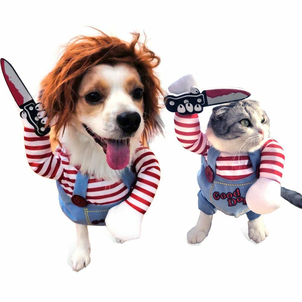 Frightening Fido Costume: Spookify Your Pup This Halloween!