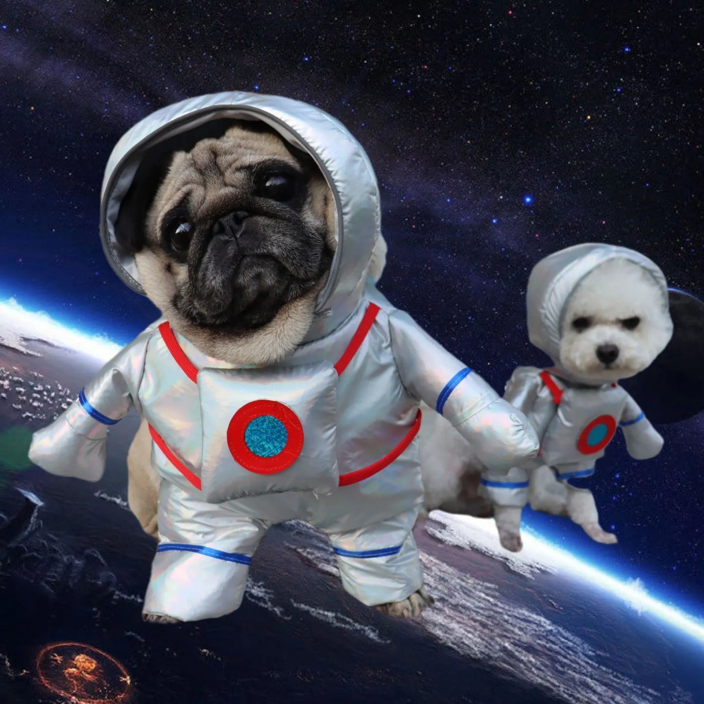 Frightening Fido Costume: Spookify Your Pup This Halloween!