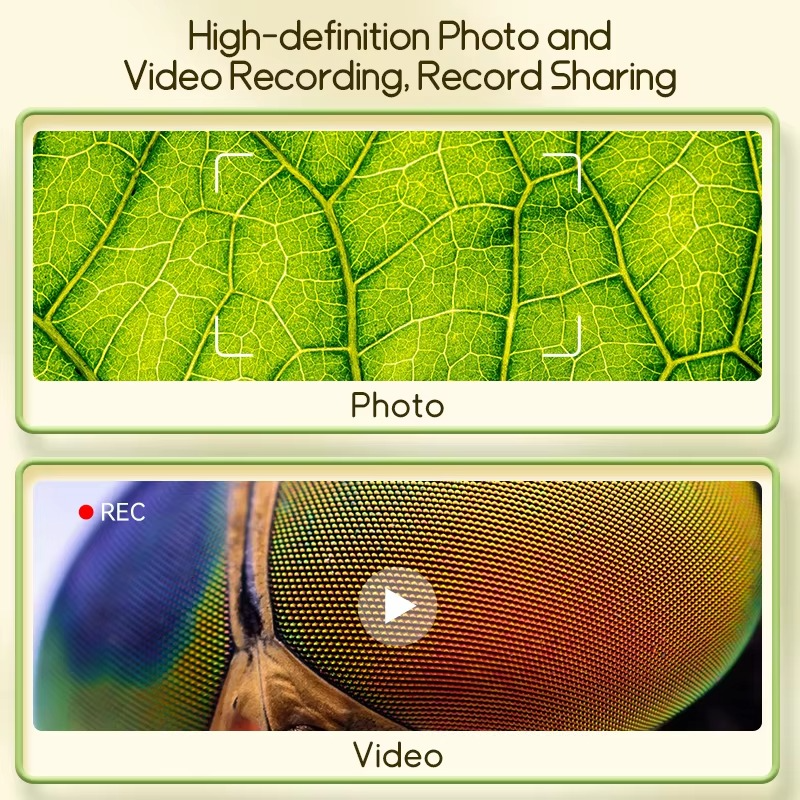 Unleash Curiosity with the ZoomLens Explorer