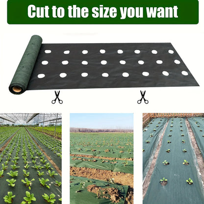 Weed Barrier Fabric - Perforated, Breathable Material for Vegetable Beds