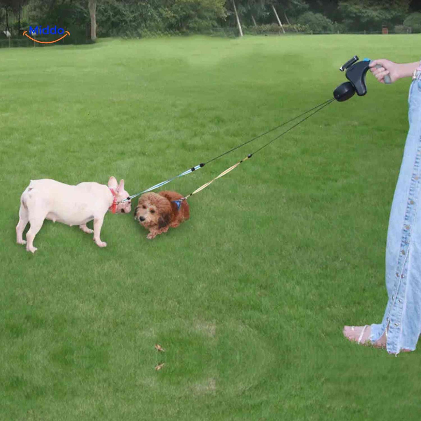 Dual Leash for Two Dogs - Full Control and Comfort