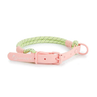 Pink Green