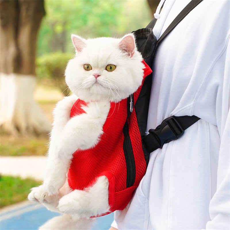 Comfortable and Stylish Travel Backpack for Pets