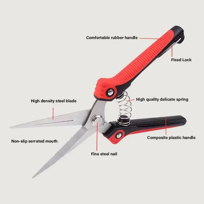 Stainless Steel Garden Shears with U-Spring | Non-Stick Blades | Ergonomic Grip | Perfect for Fruit Trees & Roses