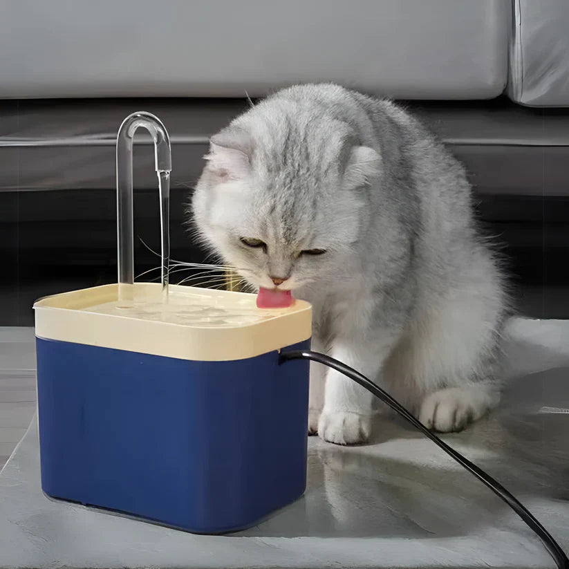 Hydration Solution for Cats – Keeps Your Feline Healthy Daily