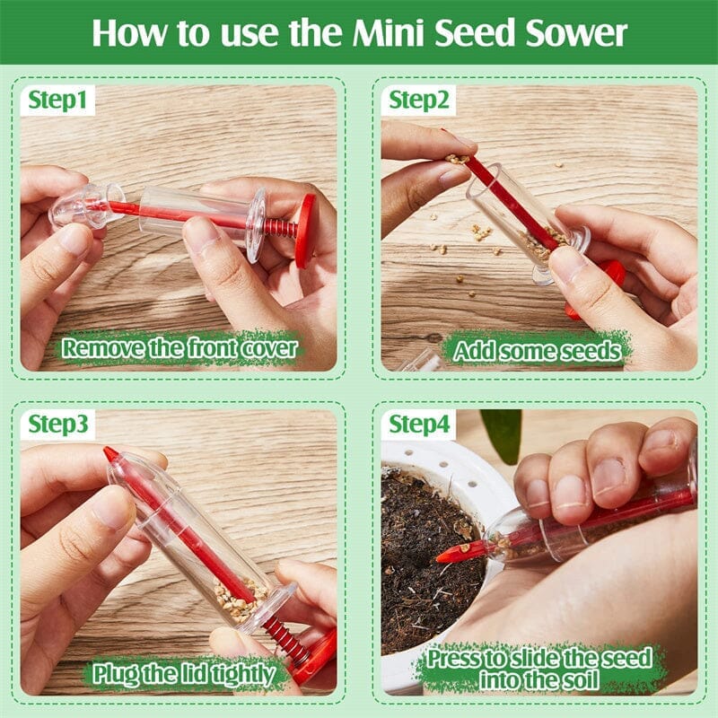 Buy One, Get One Free | Easy Plant Care Made Simple