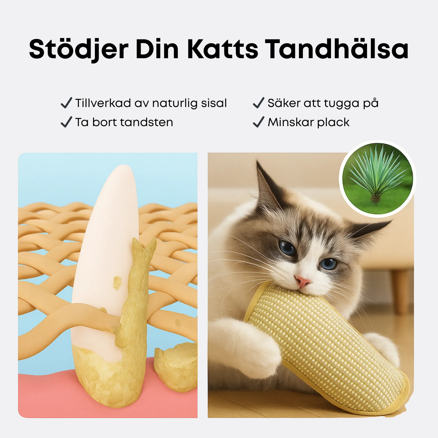 Cat Toy – Keeps Cats Active, Happy and Protects Furniture