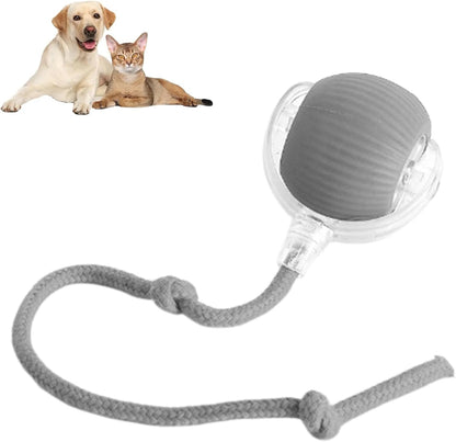 Buy One Get One Free | AutoPaws - Self-Moving Action Toy