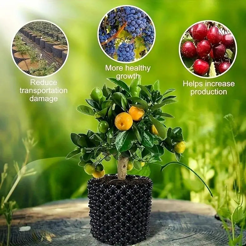 Enhanced Root Growth Solution for Flourishing Plants