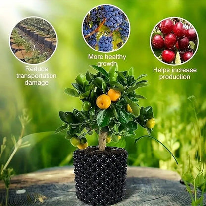 Enhanced Root Growth Solution for Flourishing Plants
