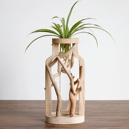 Transform Any Room Instantly with Natural Elegance