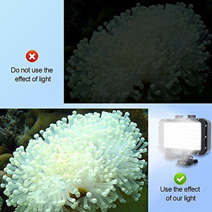 AquaBeam Pro Underwater LED Light - 84 High-Power Dimmable LEDs, Waterproof to 164ft for Action Cameras