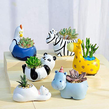 Collection of Playful Animal-Themed Planters