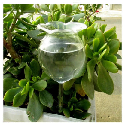 Automatic Self-Watering Plant Globes | Set of 2 Handmade Glass