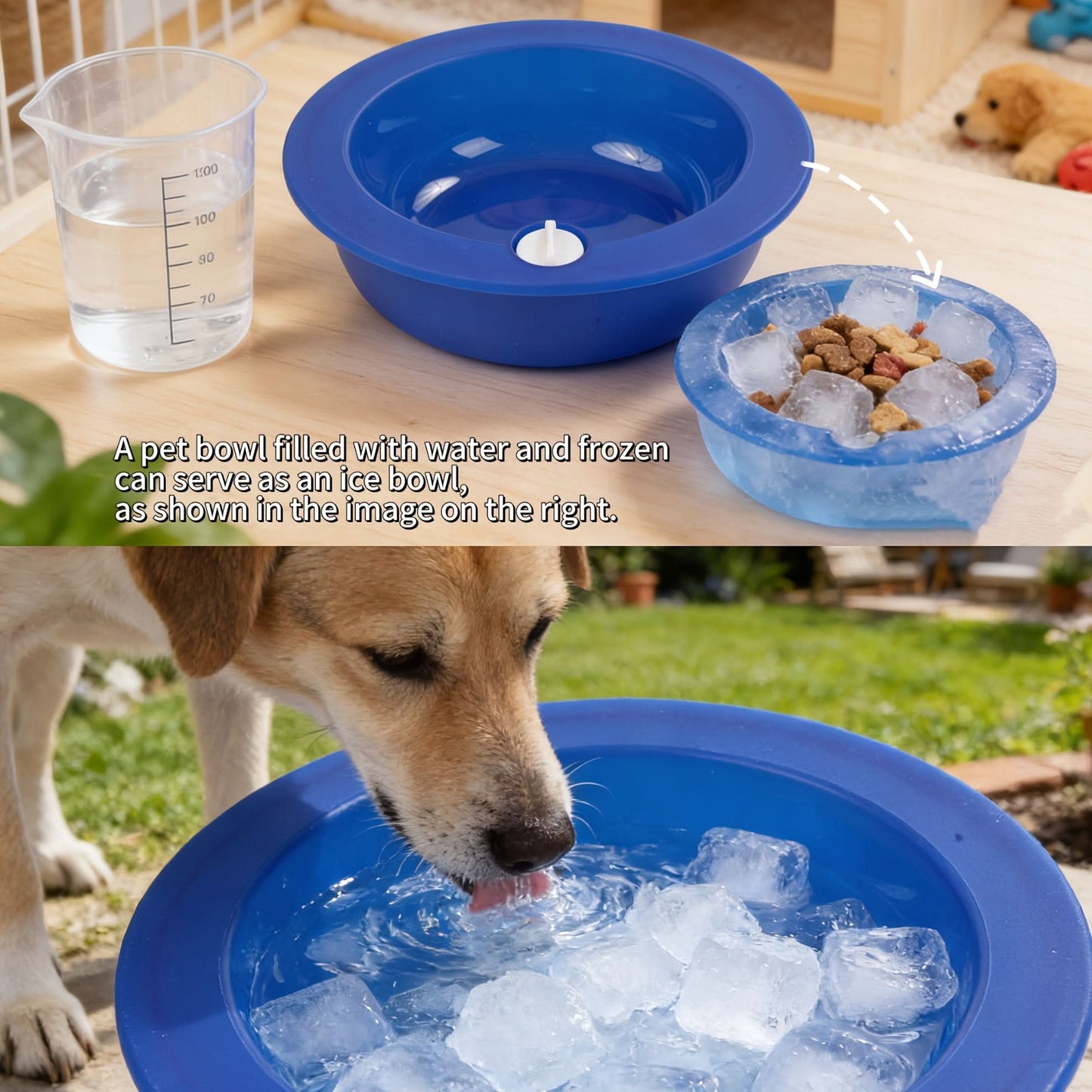 Cooling Pet Bowl for Daily Hydration and Refreshment
