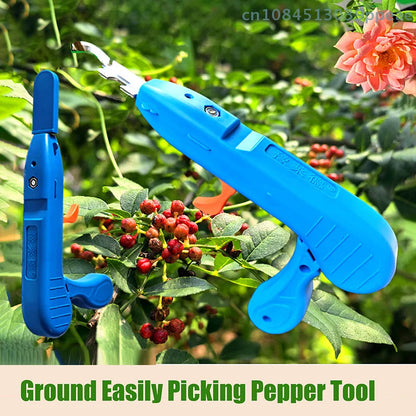 Multi-functional Harvest Shears for Fruits and Vegetables – 20.5 cm Garden Tool