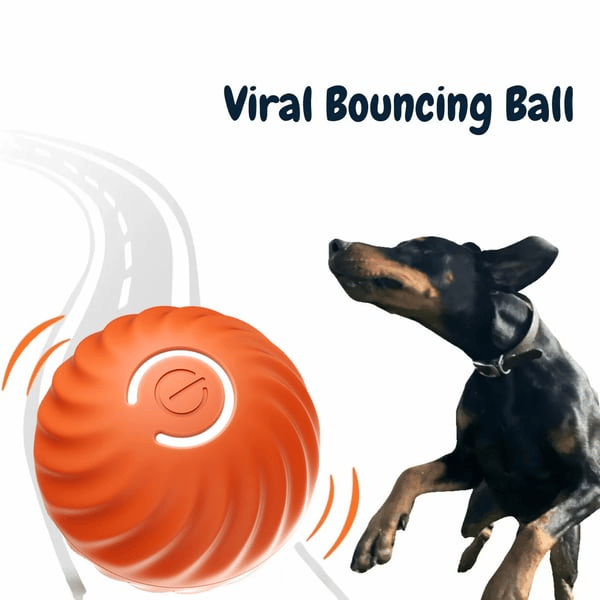 Interactive Dog Play Ball for Engaging Fetch Games