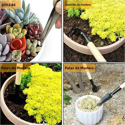 13-Piece Garden Tool Set | Stainless Steel and ABS | Designed for Succulents & Bonsai