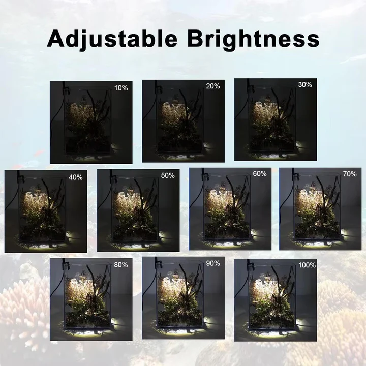 Illuminate Your Aquarium with Stunning, Vibrant Clarity