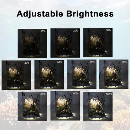 Illuminate Your Aquarium with Stunning, Vibrant Clarity