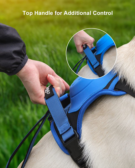 Dog Harness with Retractable Leash Set – All-in-One Solution