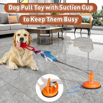 Boost Your Dog's Confidence and Release Energy Quickly