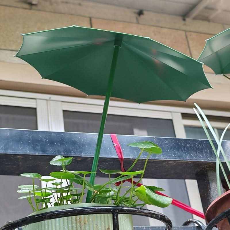 Outdoor Sunshade for Plants